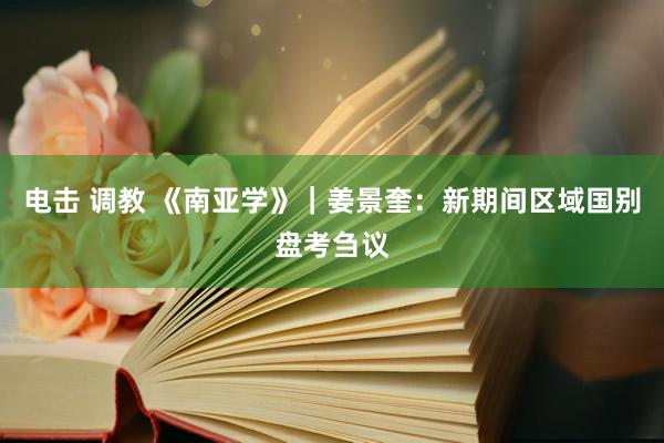 电击 调教 《南亚学》｜姜景奎：新期间区域国别盘考刍议